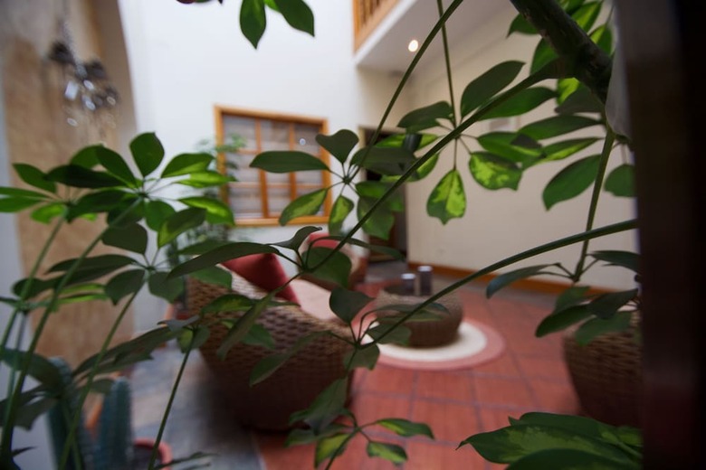 Bed & Breakfast Pepe's House Cuenca