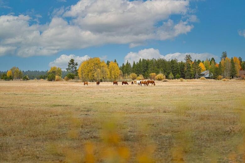 Tan Oak Lane 37 By Village Properties At Sunriver