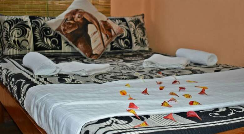 Hotel Elephant Lovers Inn