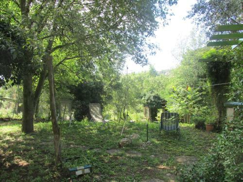 Holiday Home Botanica