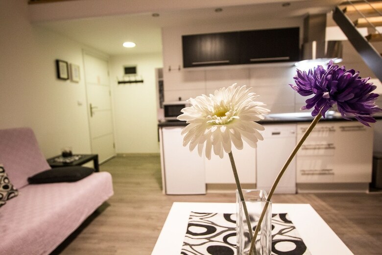 Downtown Apartments Pula