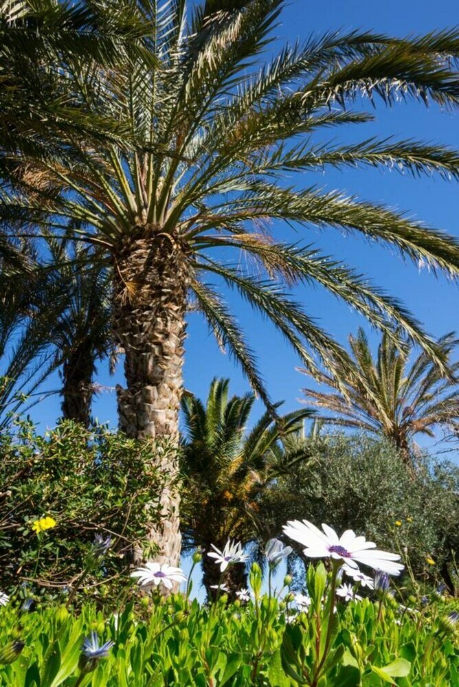 Apartamento Bougainvillea House In Crete