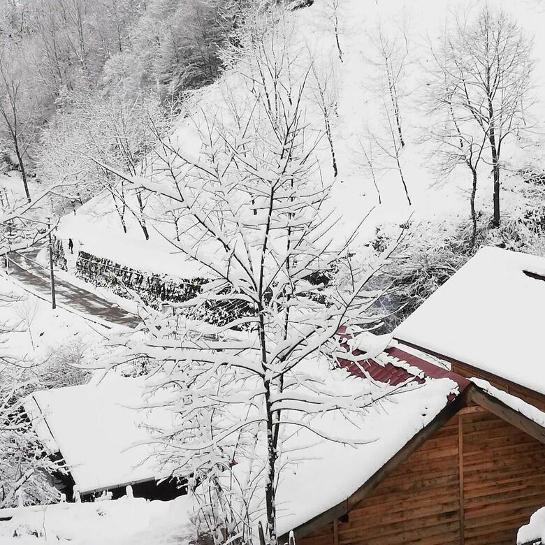 Cabana Yesil Dus Vadisi Bungalow Restoran