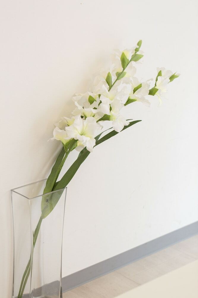 Apartamentos Shimanouchi Mgi