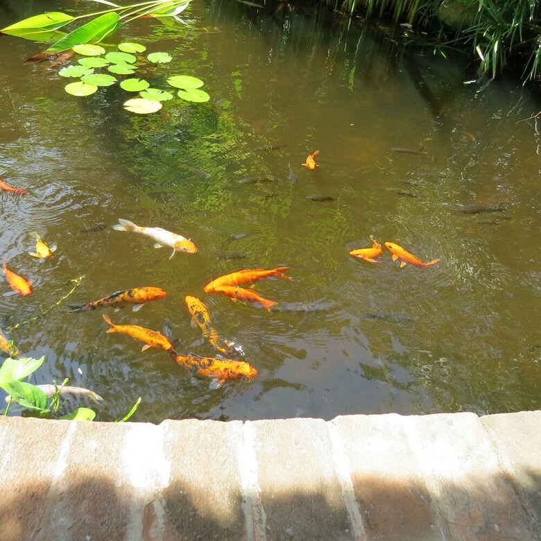 Apartamento The Watergarden