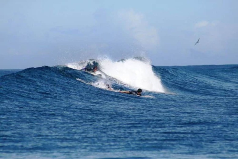 Hostal Funky Fish Beach & Surf Resort - Hostel