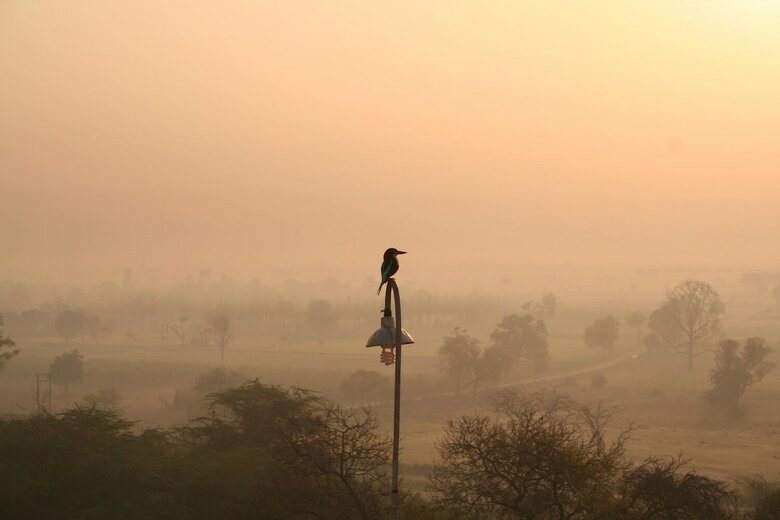 Hotel Aamod Mudfort Kuchesar