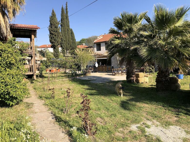Hotel Zirkon Doga Butik Otel - Adults Only