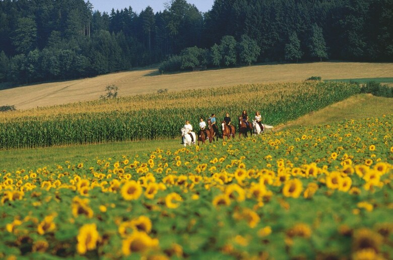 Alpina Family, Spa & Sporthotel