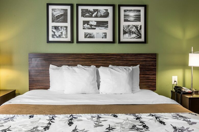 Hotel Sleep Inn & Suites Mount Olive North