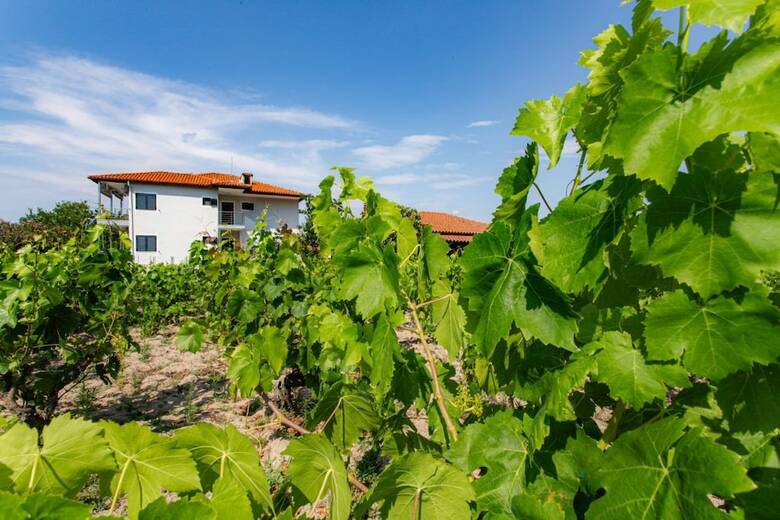 Apartamentos Kokkinos