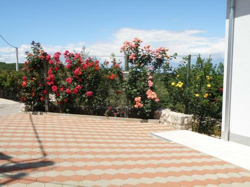 Apartamentos Villa Roze