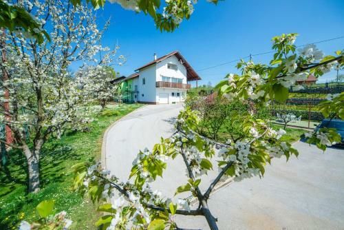 Apartment Bastaja