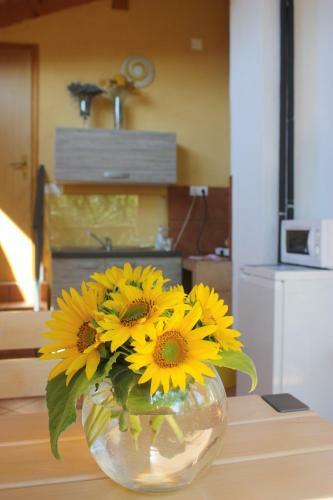 Hostal Rooms Jana