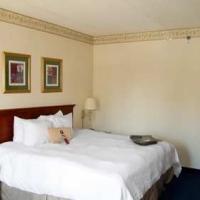 Hotel Hampton Inn Center City