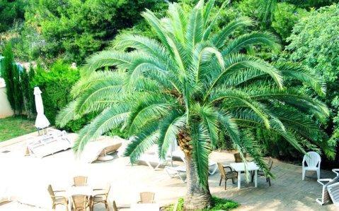 Hotel Lemar Garden