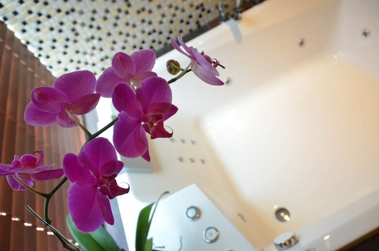 Villa Seminyak Icon By Karaniya Experience