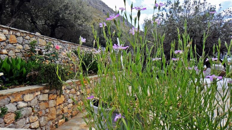 Hotel Four Seasons Hydra