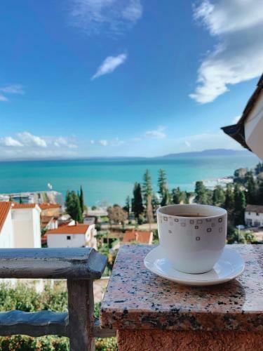 Apartamentos Villa Mihaela
