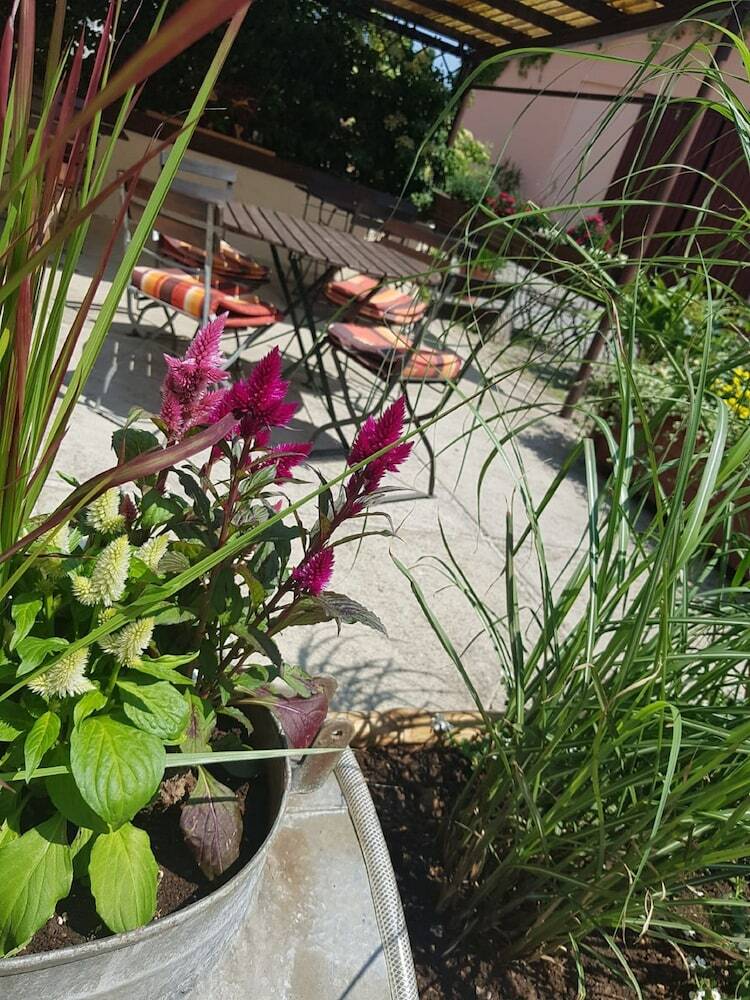 Posada Pension Marlis