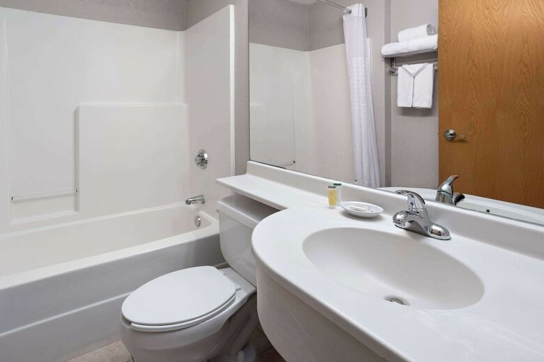 Hotel Microtel Inn & Suites By Wyndham Ann Arbor
