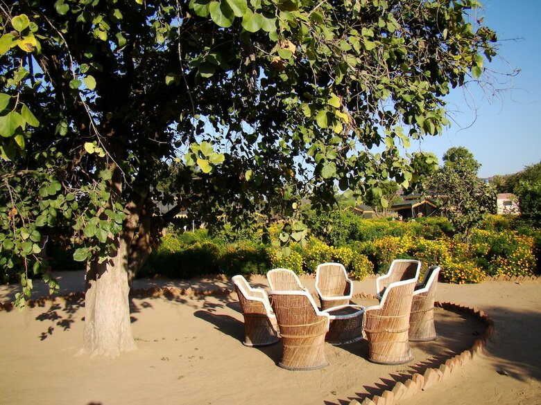 Orchard Tents & Tranquility