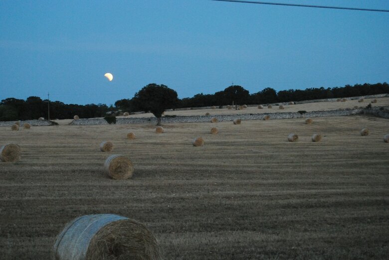 Bed & Breakfast Trulli Gallo Rosso