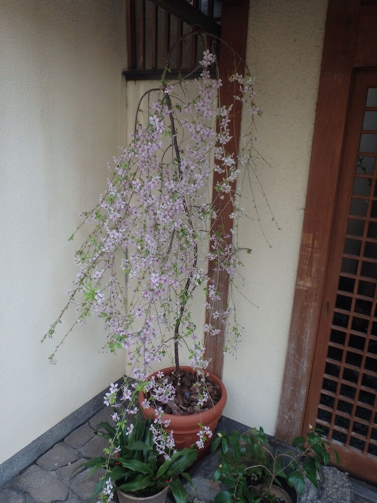 Kamuro-an