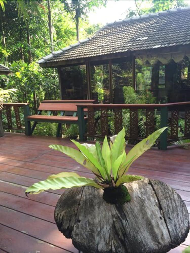 Hotel Fern Paradise