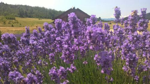 Hostal Agrotourism Japodi