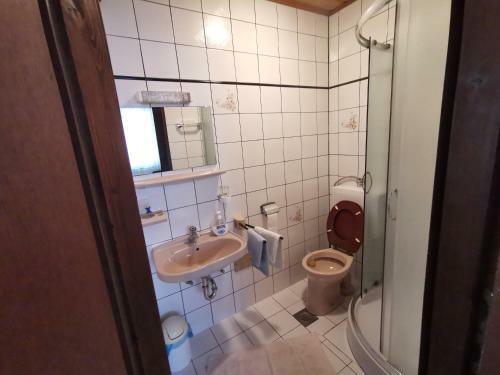 Apartments Dijana
