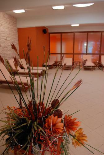 Hotel Istarske Toplice Mirna Light All Inclusive