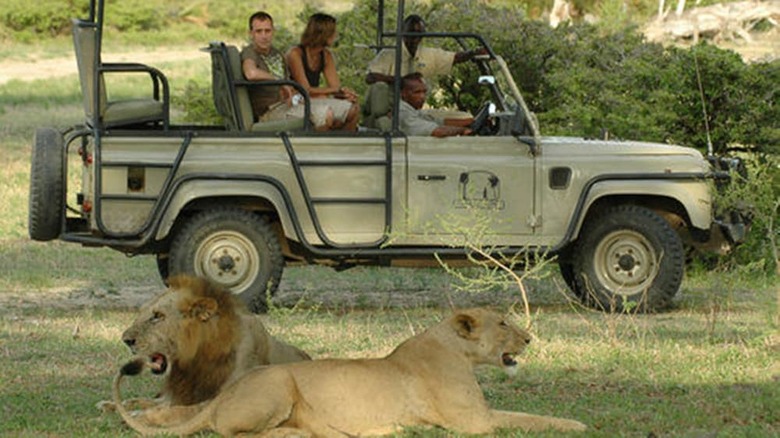 Posada The Retreat Selous