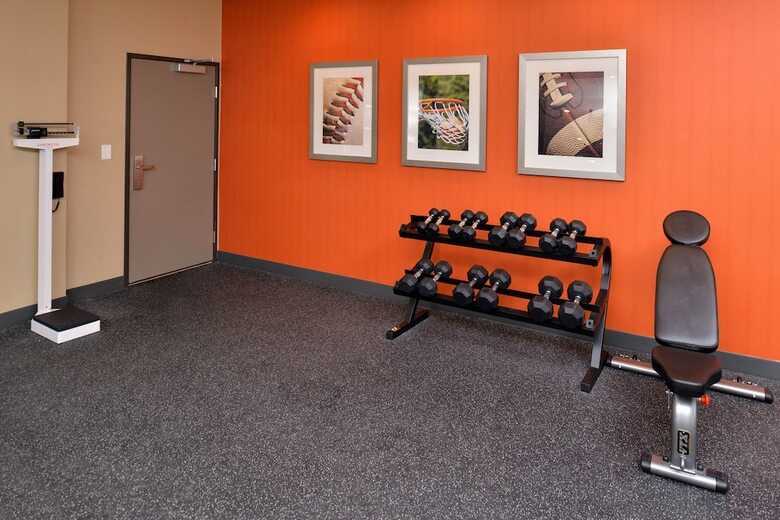 Hotel Holiday Inn Express & Suites Austin South