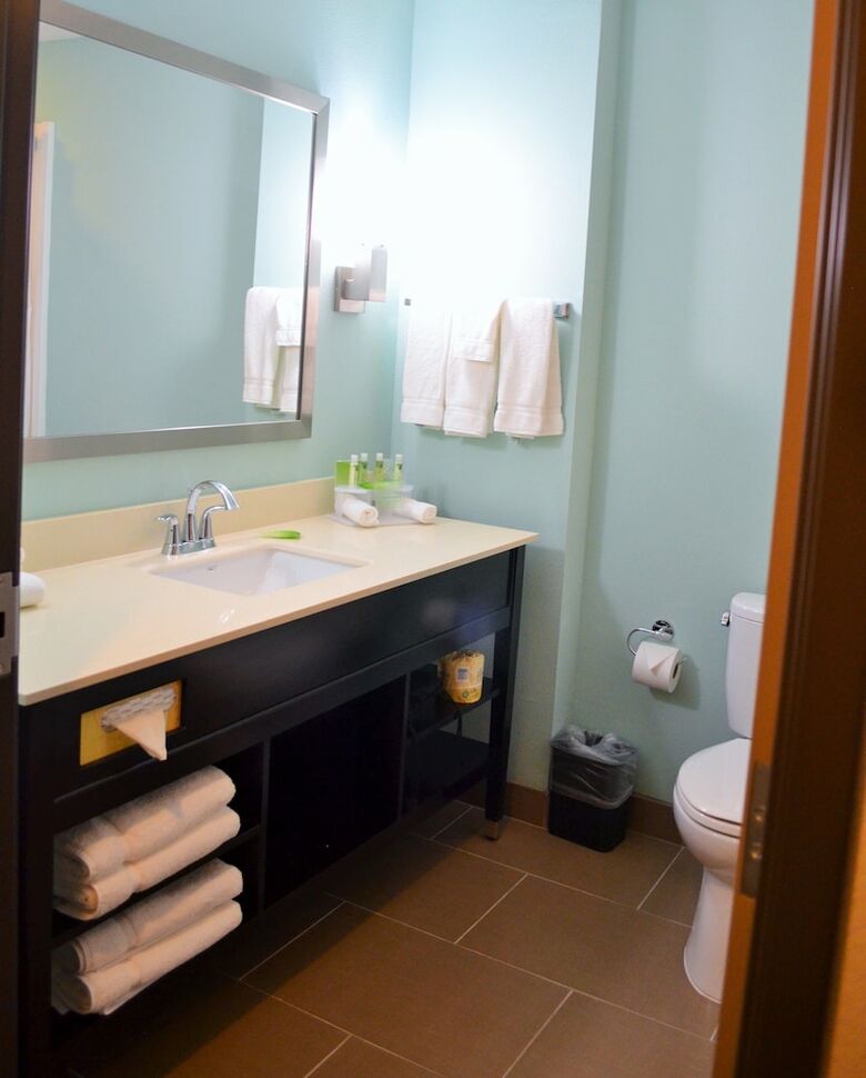 Hotel Holiday Inn Express & Suites Austin South