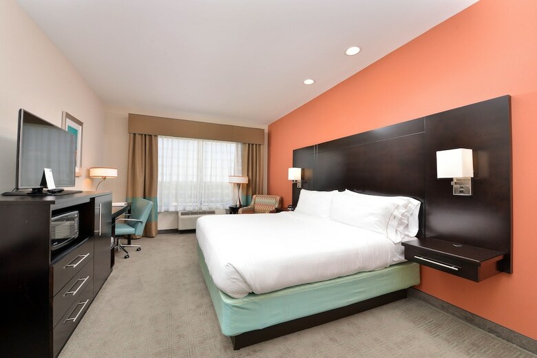 Hotel Holiday Inn Express & Suites Austin South