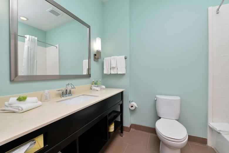 Hotel Holiday Inn Express & Suites Austin South