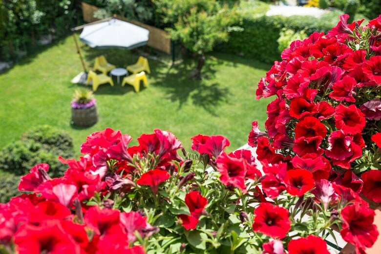 B&B Il Girasole