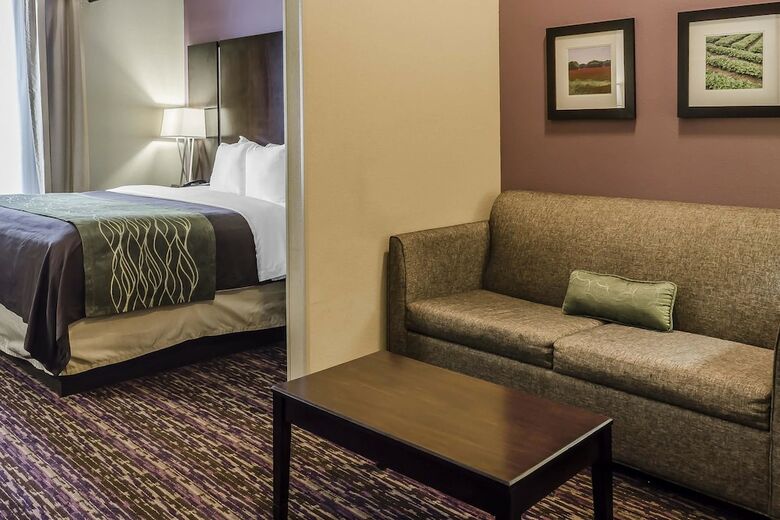 Hotel Comfort Inn & Suites Dothan East