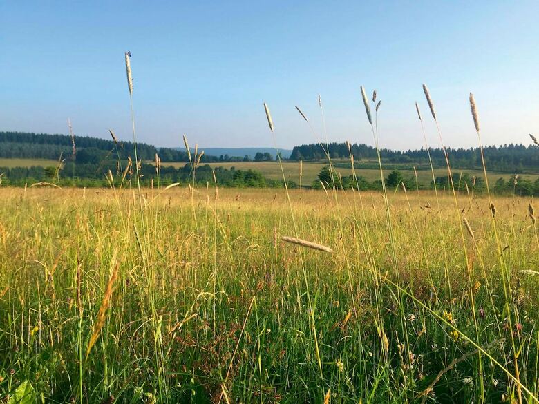 Hotel Der Sch�ne Asten - Resort Winterberg