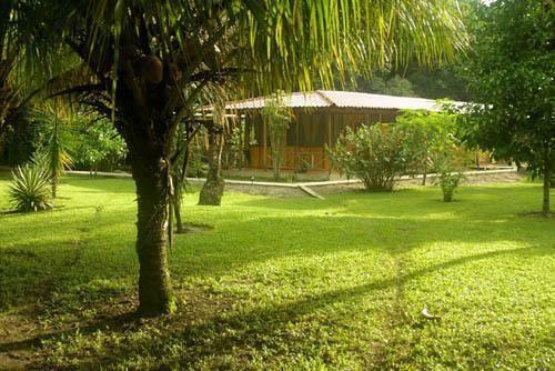Hotel Turtle Beach Lodge