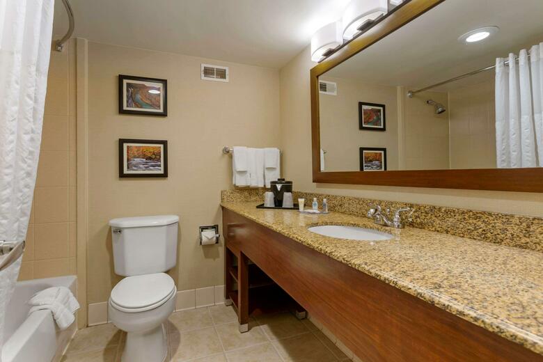 Hotel Comfort Inn & Suites Downtown