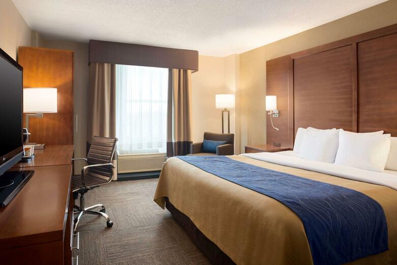 Hotel Comfort Inn & Suites Downtown