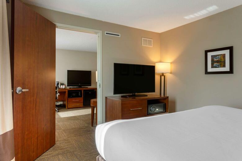 Hotel Comfort Inn & Suites Downtown