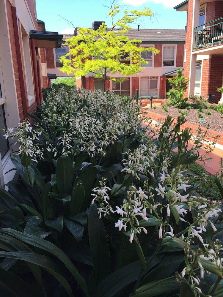Apartamentos Australian Home Away @ Box Hill 2 Bedroom