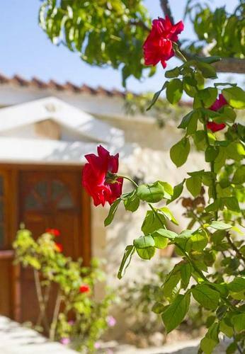 Rose Garden Villa Peristerona