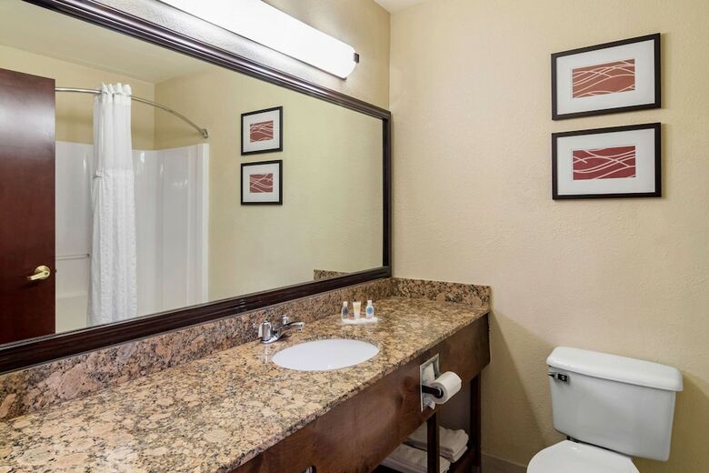 Hotel Comfort Inn & Suites Suwanee - Sugarloaf