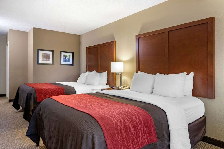 Hotel Comfort Inn & Suites Suwanee - Sugarloaf