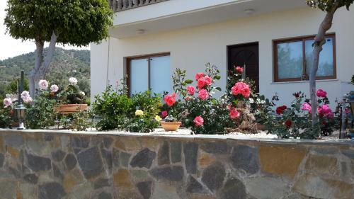 Georgias Apartments