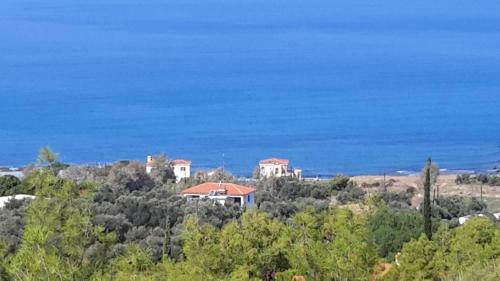 Georgias Apartments